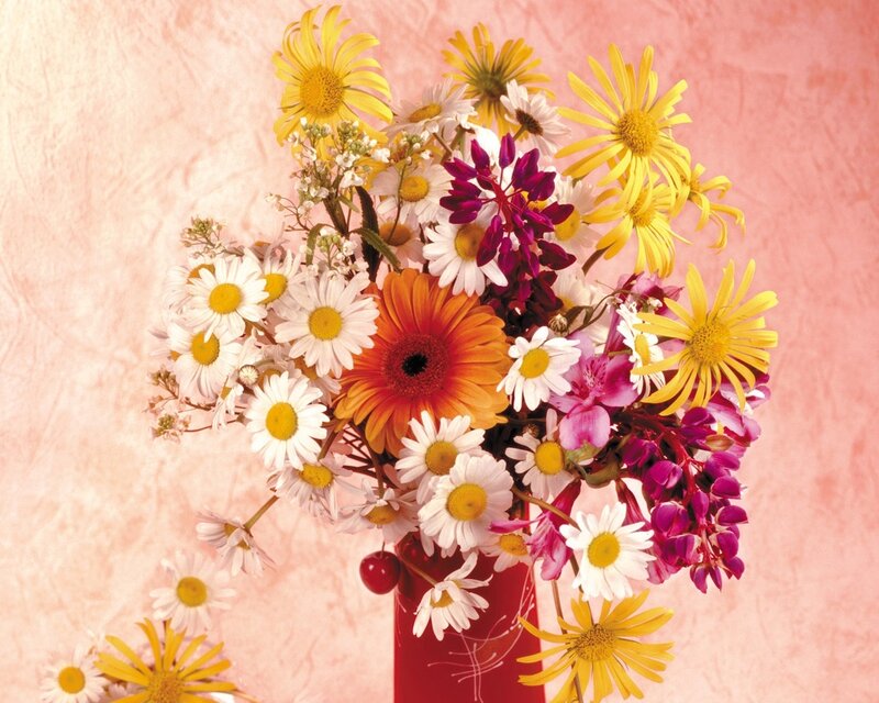 Bouquet of Mixed Flowers — Pink, Bright, Photograph