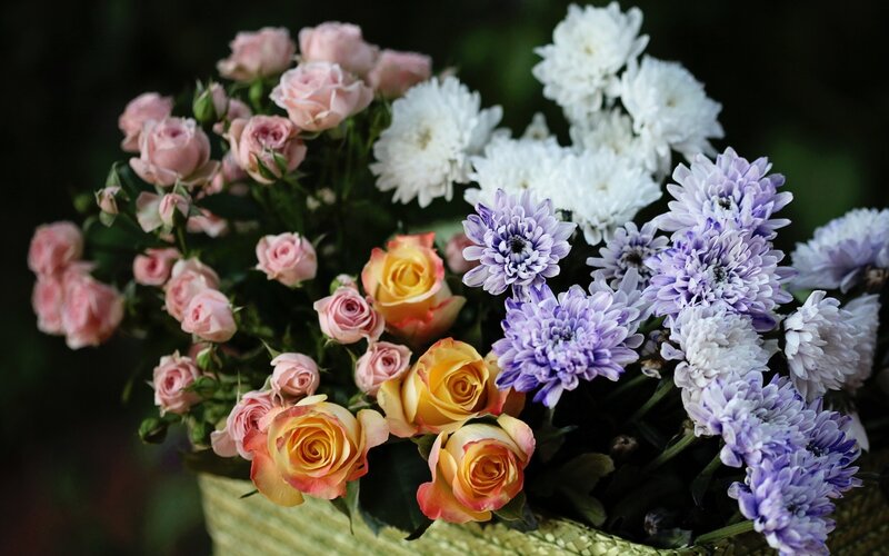 Bouquet of Mixed Flowers — Pink, Calm, Photograph, Roses, Chrysanthemums