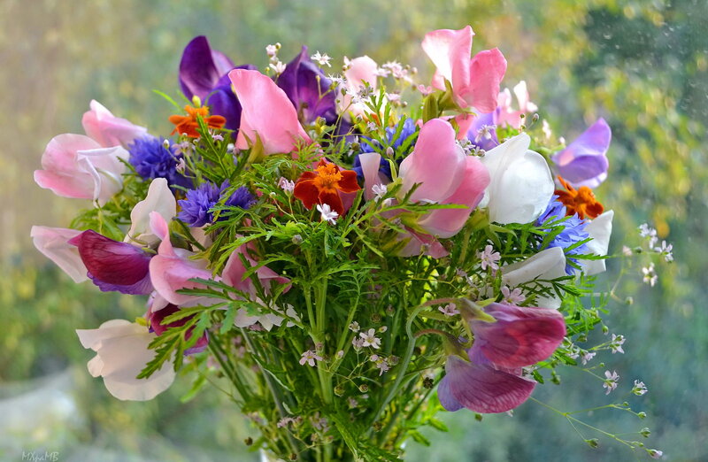 Bouquet of Mixed Flowers — Pink, Calm, Spring, Photograph