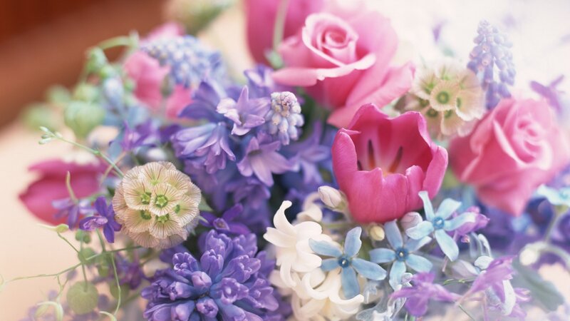 Bouquet of Mixed Flowers — Pink, Serene, Photograph