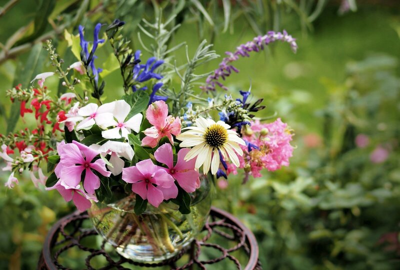 Bouquet of Mixed Flowers — Pink, Serene, Summer