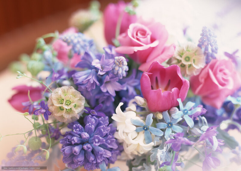 Bouquet of Mixed Flowers — Pink, Soft, Photograph