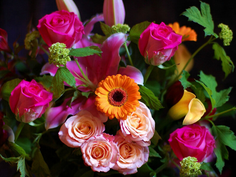 Bouquet of Mixed Flowers — Pink, Vibrant, Photograph, Roses, Gerbera Daisy