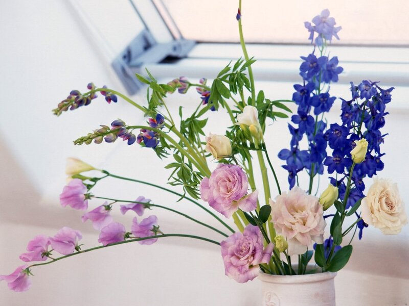 Bouquet of Mixed Flowers — Purple, Calm, Morning