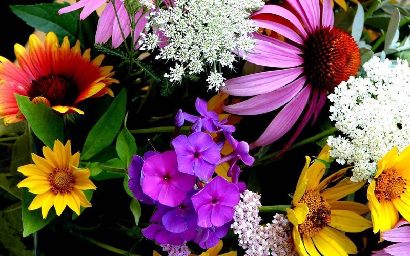 Bouquet of Mixed Flowers — Purple
