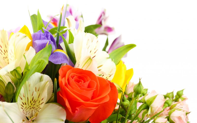 Bouquet of Mixed Flowers — Red, Bright, Photograph, Rose