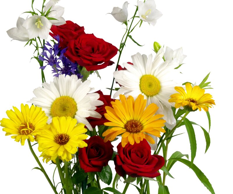 Bouquet of Mixed Flowers — Red, Bright, Photograph, Roses