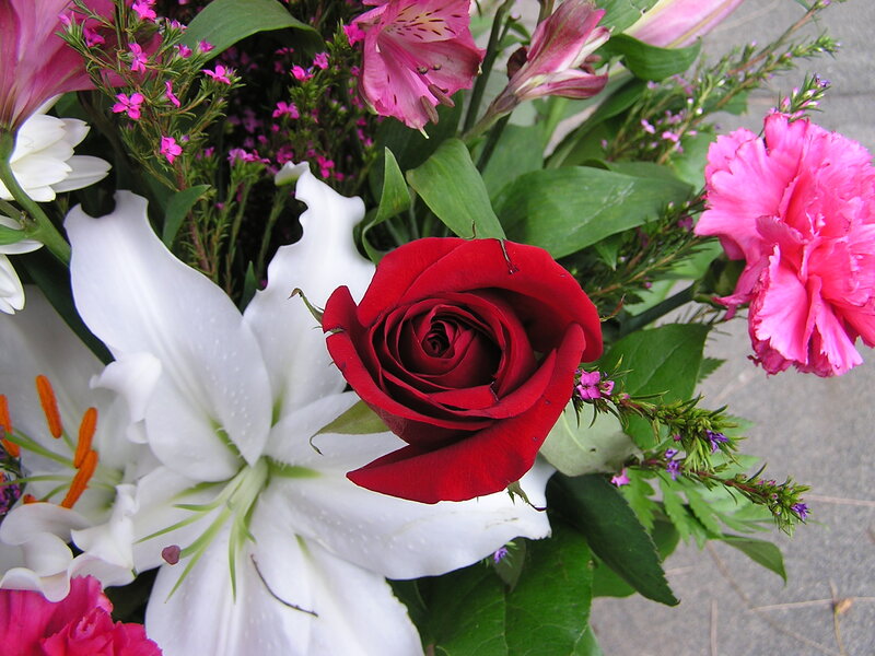 Bouquet of Mixed Flowers — Red, Calm, Photograph