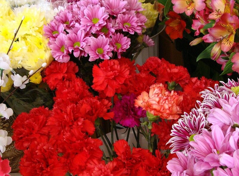 Bouquet of Mixed Flowers — Red, Vibrant, Photograph, Carnations