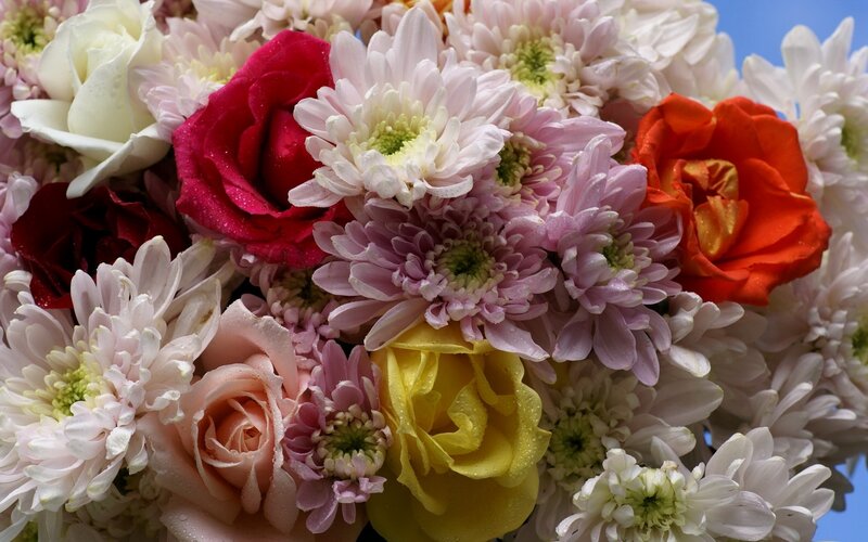 Bouquet of Mixed Flowers — White, Bright, Photograph