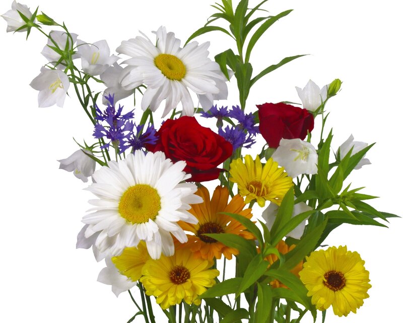 Bouquet of Mixed Flowers — White, Bright