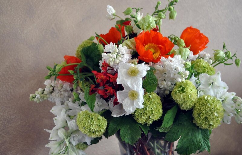Bouquet of Mixed Flowers — White, Calm, Photograph, Poppies