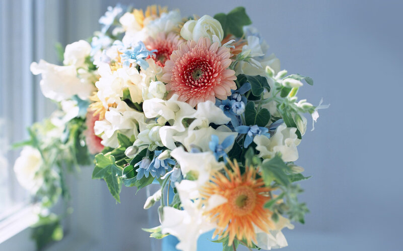 Bouquet of Mixed Flowers — White, Serene, Morning, Photograph