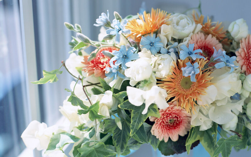 Bouquet of Mixed Flowers — White, Serene, Morning