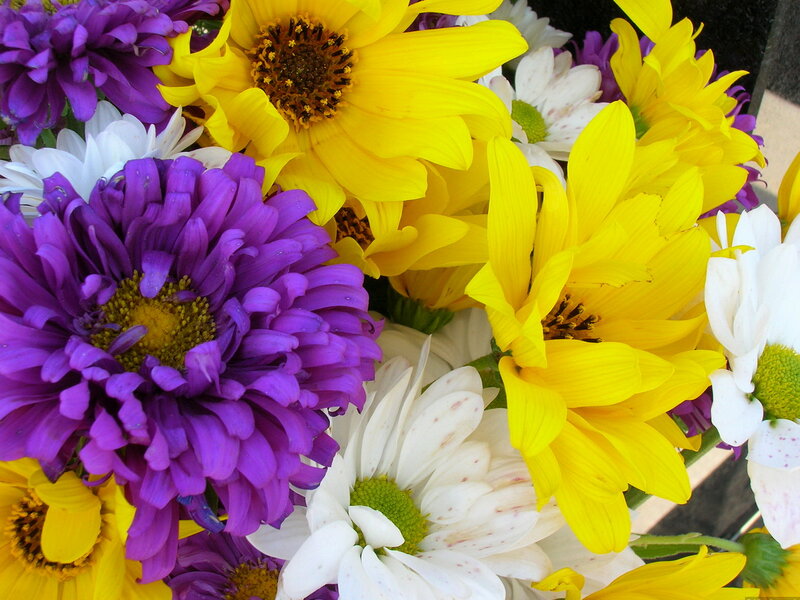 Bouquet of Mixed Flowers — Yellow, Vibrant, Afternoon
