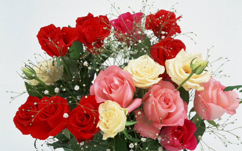Bouquet of Mixed Roses — Red, Calm, Photograph