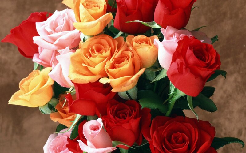 Bouquet of Mixed Roses — Red, Calm