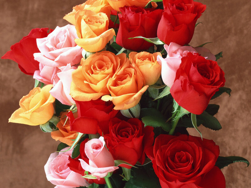 Bouquet of Mixed Roses