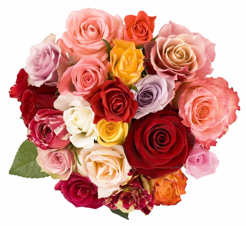 Bouquet of Multicolored Roses — Pink
