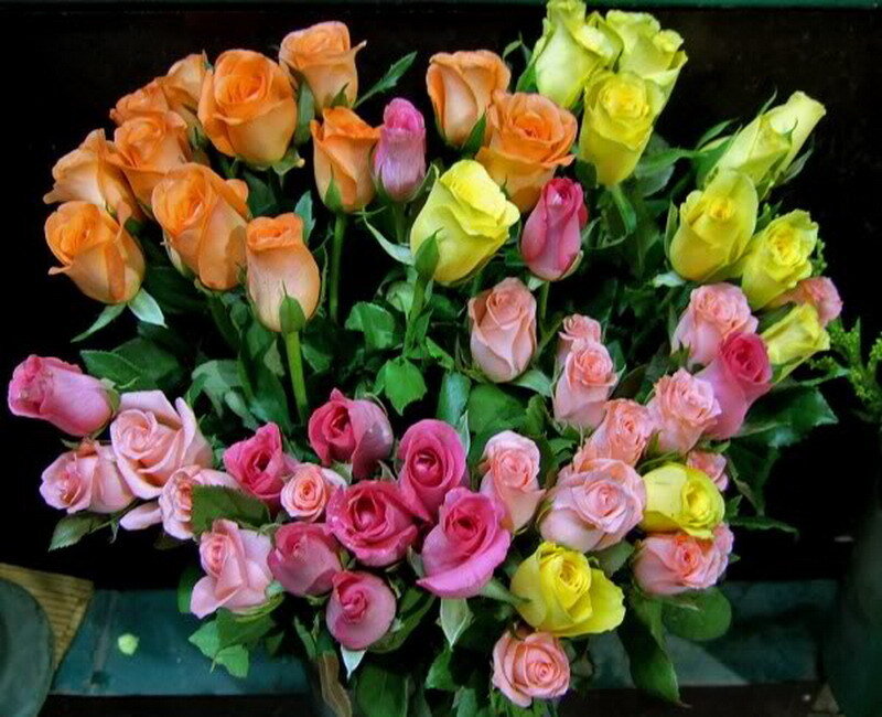 Bouquet of Multicolored Roses