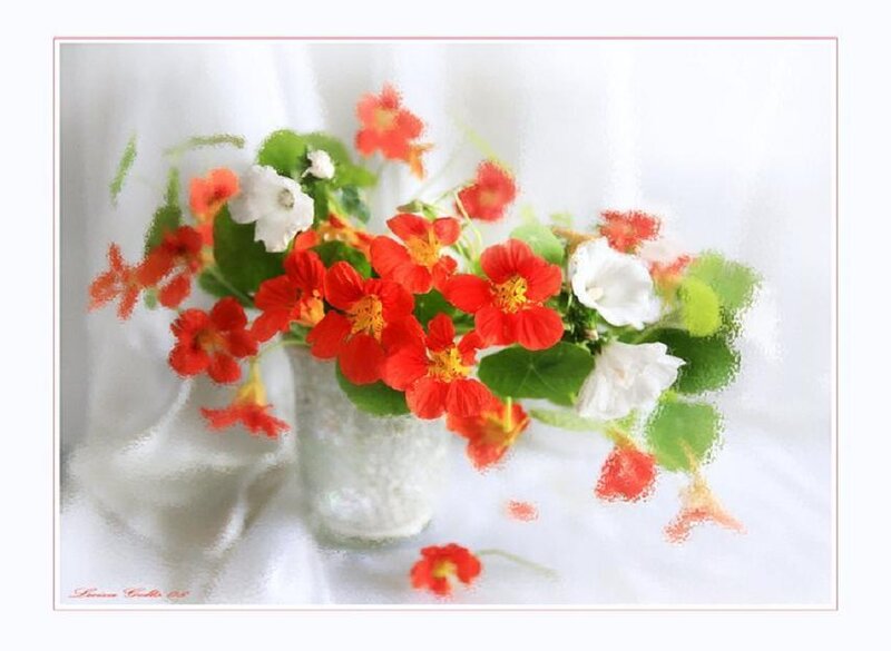 Bouquet of Nasturtiums — Red