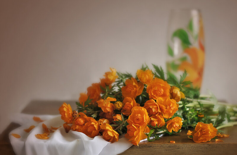 Bouquet of Orange Flowers — Calm, Photograph, Vase, Cloth