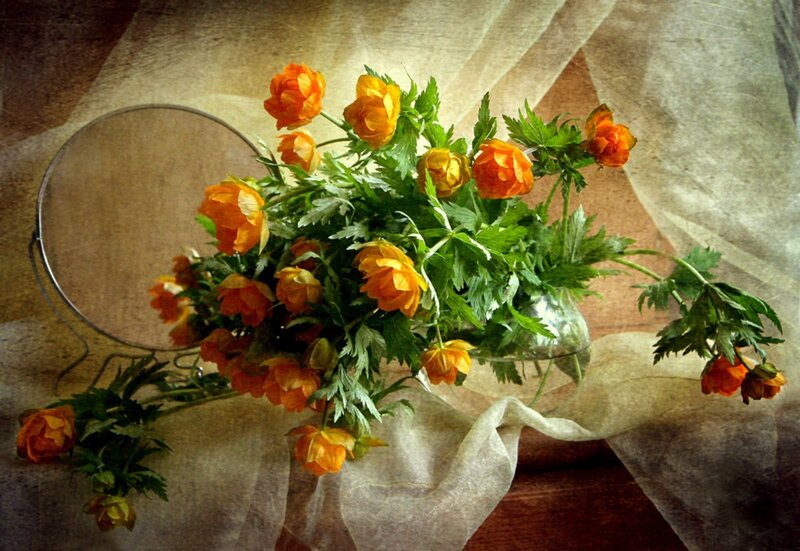 Bouquet of Orange Flowers — Calm