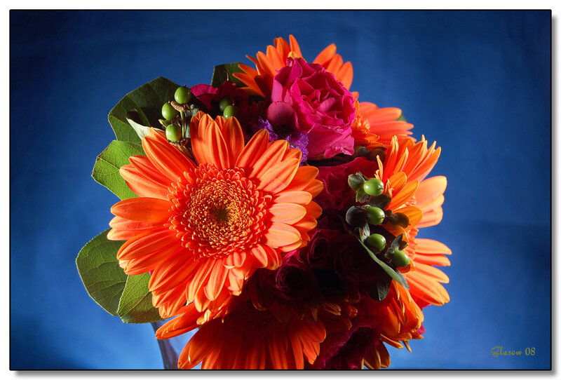 Bouquet of Orange Flowers — Dramatic
