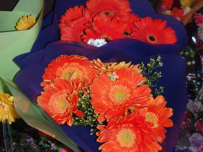 Bouquet of Orange Gerbera Daisies