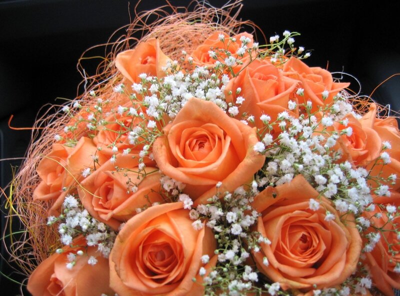 bouquet of orange roses