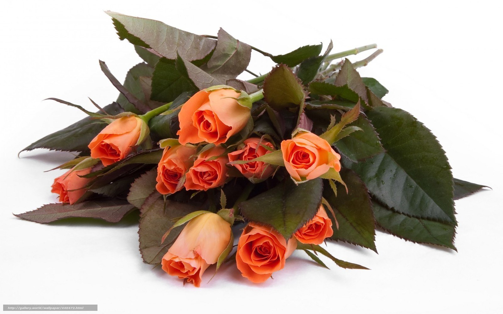 bouquet of orange roses