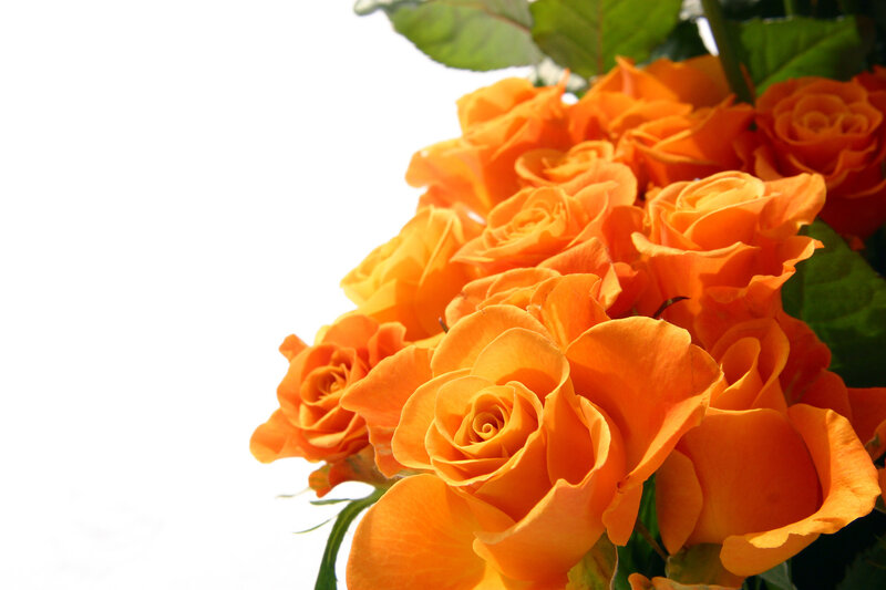 bouquet of orange roses