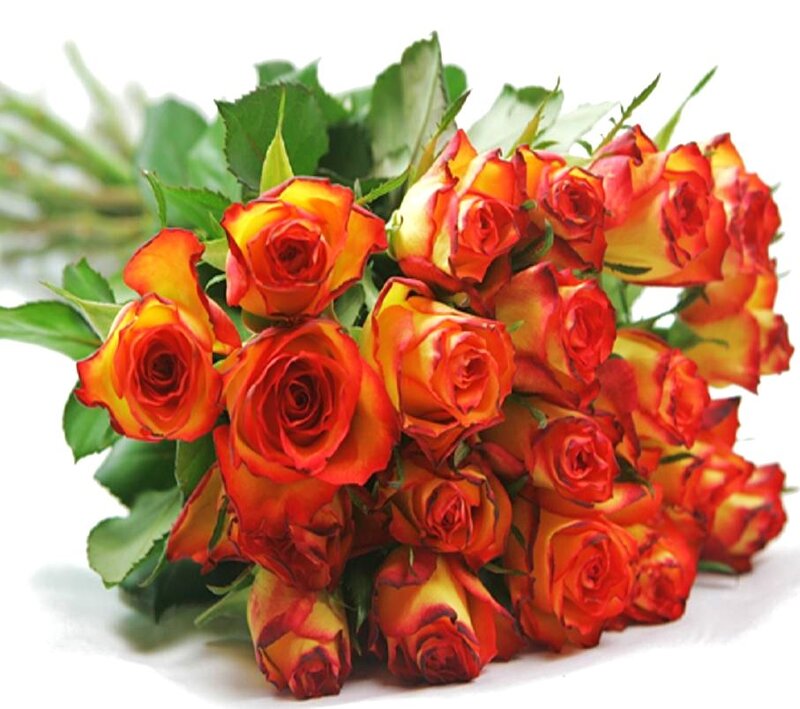 bouquet of orange roses