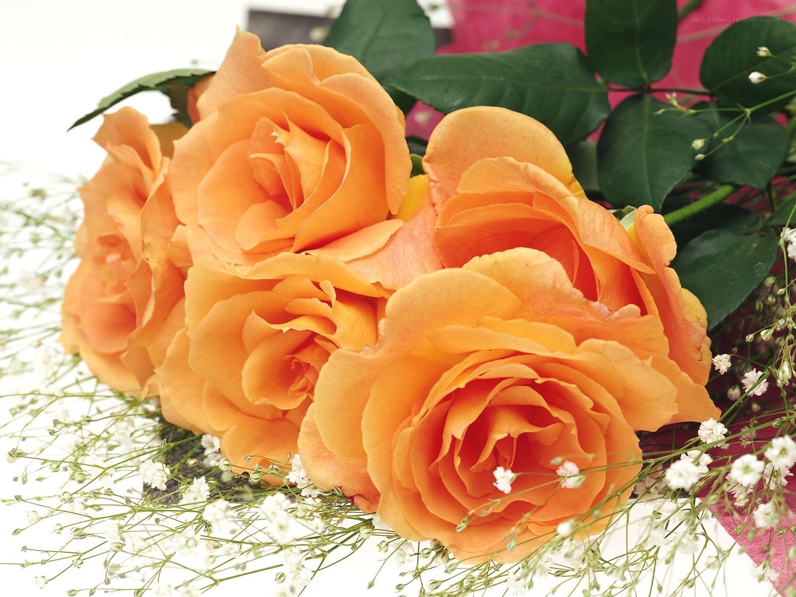 bouquet of orange roses