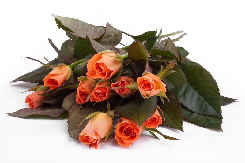 bouquet of orange roses