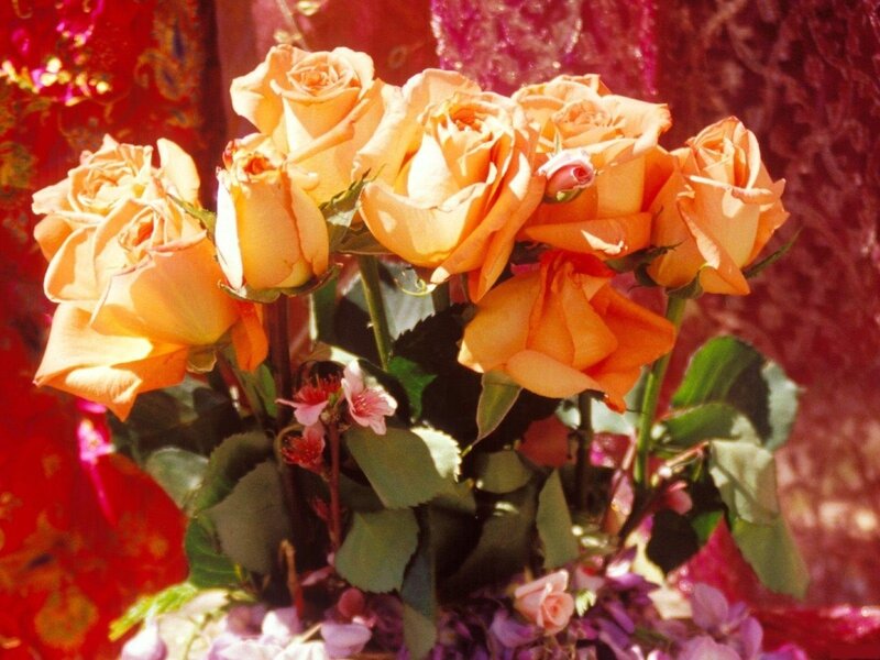 bouquet of orange roses