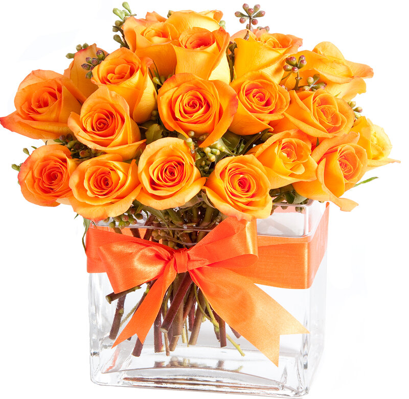 Bouquet of Orange Roses — Bright, Photograph