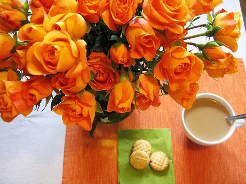 Bouquet of Orange Roses — Calm, Morning
