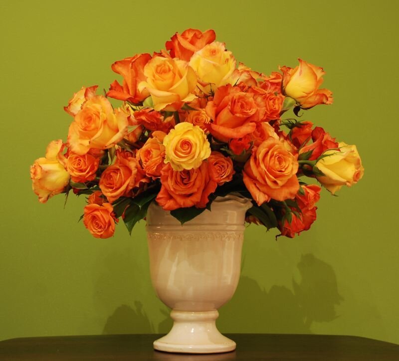 Bouquet of Orange Roses — Calm, Photograph, Vase, Green Wall