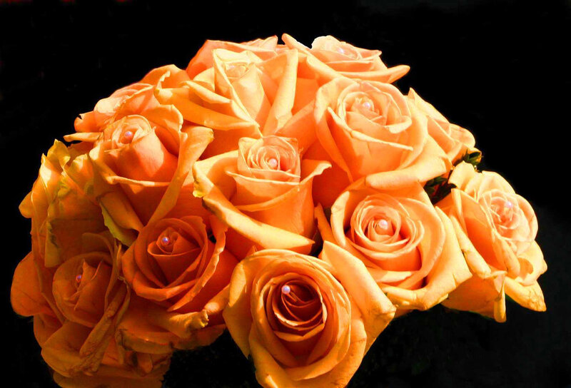 Bouquet of Orange Roses — Dramatic, Photograph, Pearls