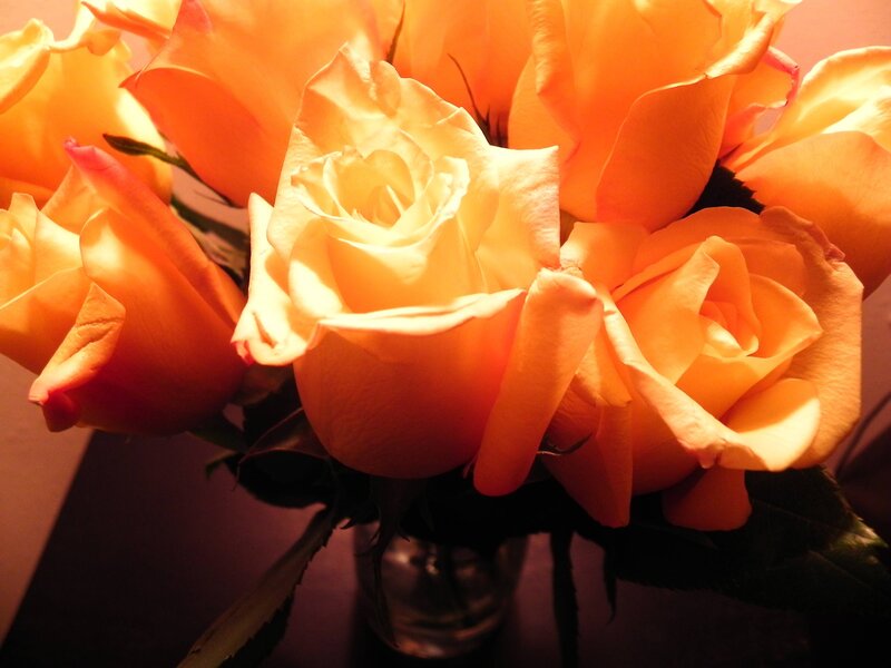 Bouquet of Orange Roses — Warm