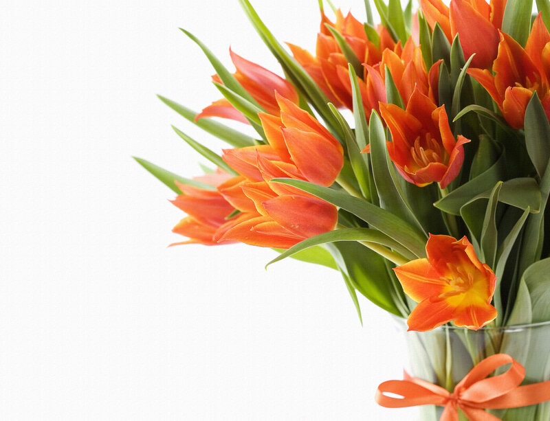 Bouquet of Orange Tulips — Calm, Photograph