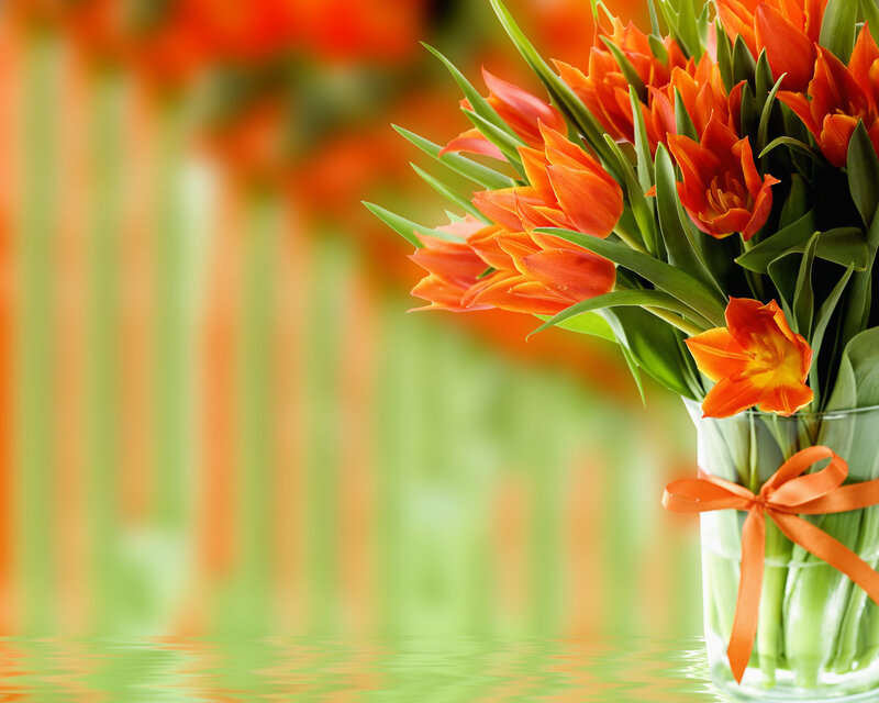 Bouquet of Orange Tulips — Calm, Spring