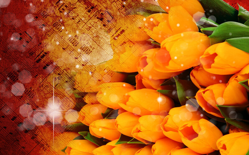 Bouquet of Orange Tulips — Festive