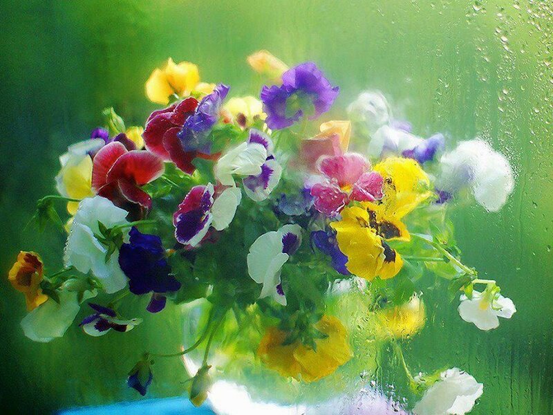 Bouquet of Pansies — Green