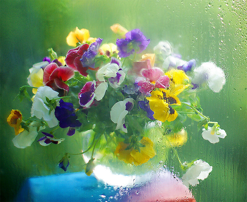Bouquet of Pansies — Yellow