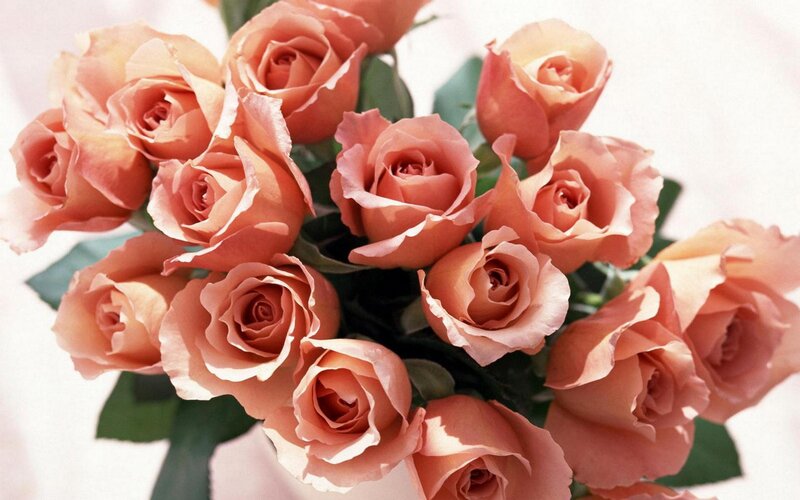 bouquet of peach roses