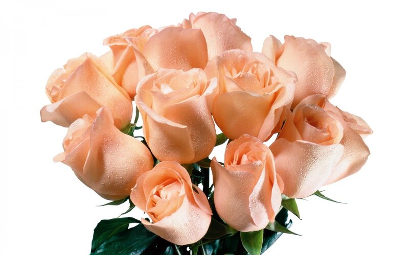 bouquet of peach roses