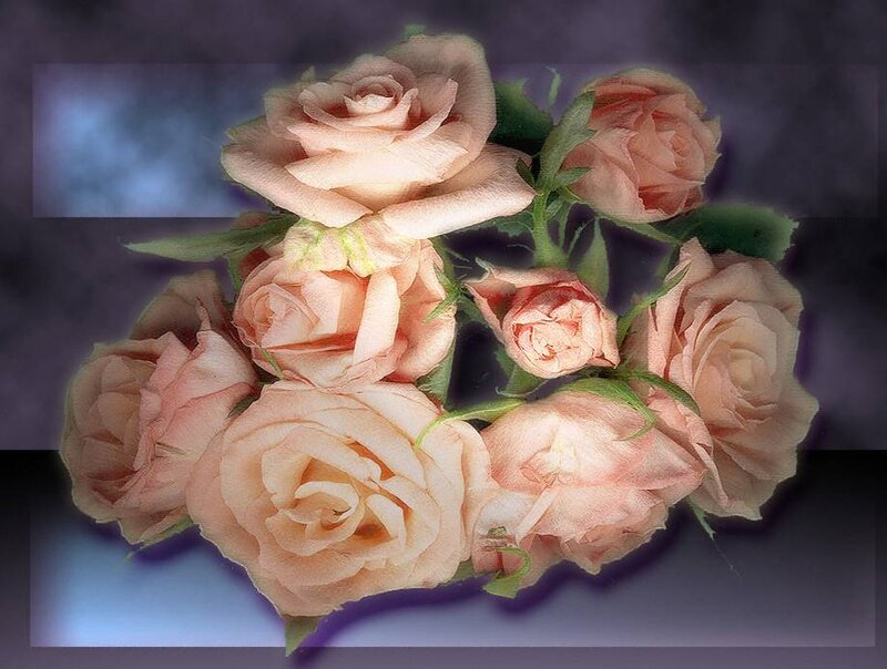 bouquet of peach roses