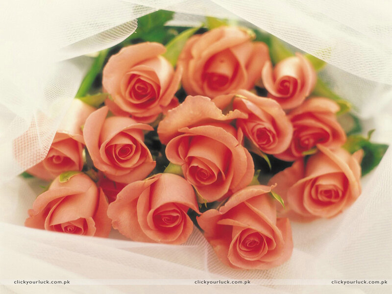 bouquet of peach roses